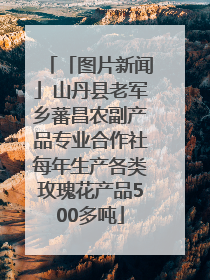 「图片新闻」山丹县老军乡蕃昌农副产品专业合作社每年生产各类玫瑰花产品500多吨