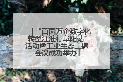 “百园万企数字化转型江淮行阜阳站”活动暨工业生态主题会议成功举办