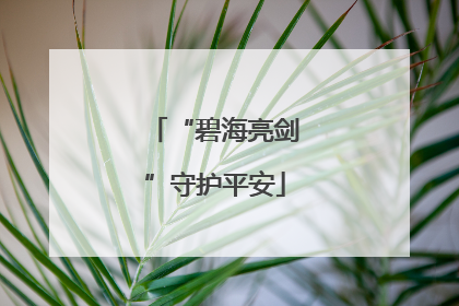 “碧海亮剑”守护平安