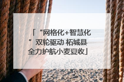 “网格化+智慧化”双轮驱动 柘城县全力护航小麦夏收