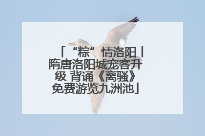 “粽”情洛阳丨隋唐洛阳城宠客升级 背诵《离骚》免费游览九洲池