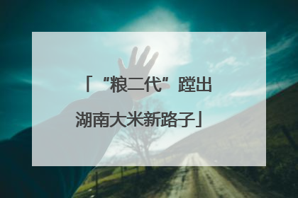 “粮二代”蹚出湖南大米新路子
