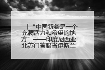 “中国新疆是一个充满活力和希望的地方”——印度尼西亚北苏门答腊省伊斯兰教代表团参访新疆