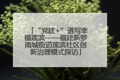 “党建+”谱写幸福莲滨——福建新罗南城街道莲滨社区创新治理模式探访