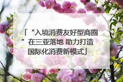 “入境消费友好型商圈”在三亚落地 助力打造国际化消费新模式