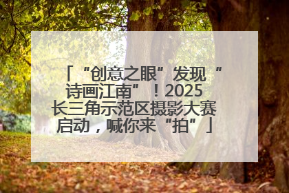 “创意之眼”发现“诗画江南”！2025长三角示范区摄影大赛启动，喊你来“拍”