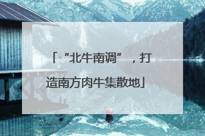 “北牛南调”，打造南方肉牛集散地