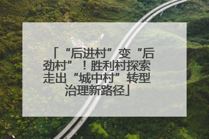“后进村”变“后劲村”！胜利村探索走出“城中村”转型治理新路径