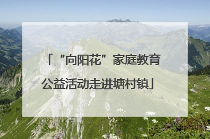 “向阳花”家庭教育公益活动走进塘村镇