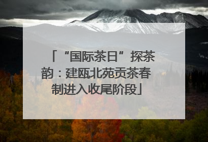 “国际茶日”探茶韵：建瓯北苑贡茶春制进入收尾阶段