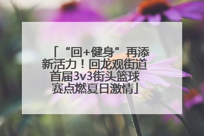 “回+健身”再添新活力！回龙观街道首届3v3街头篮球赛点燃夏日激情