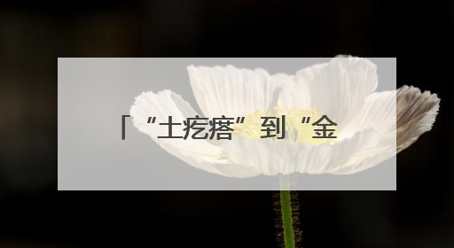 “土疙瘩”到“金疙瘩”，看肥城旅店村生姜种植从传统农作到“云上”热销的蝶变之路