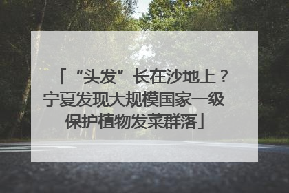 “头发”长在沙地上？宁夏发现大规模国家一级保护植物发菜群落