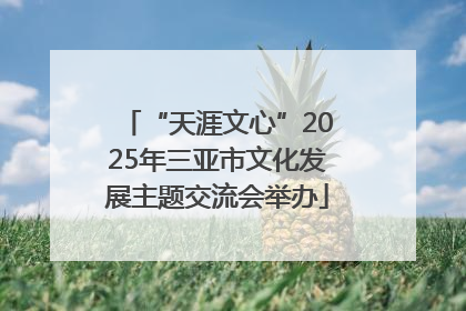 “天涯文心”2025年三亚市文化发展主题交流会举办