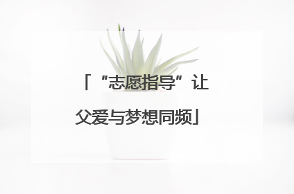 “志愿指导”让父爱与梦想同频