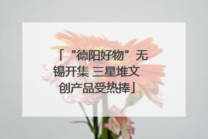 “德阳好物”无锡开集 三星堆文创产品受热捧