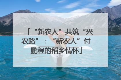 “新农人”共筑“兴农路”：“新农人”付鹏程的稻乡情怀