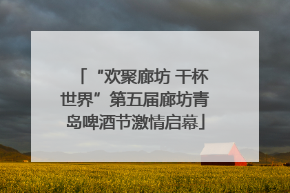 “欢聚廊坊 干杯世界”第五届廊坊青岛啤酒节激情启幕
