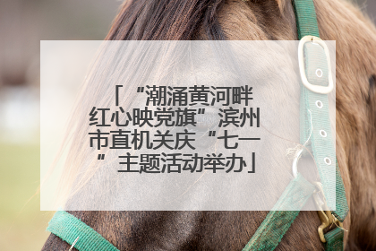 “潮涌黄河畔 红心映党旗”滨州市直机关庆“七一”主题活动举办