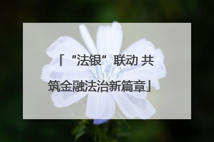 “法银”联动 共筑金融法治新篇章