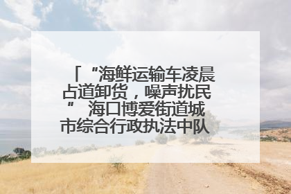 “海鲜运输车凌晨占道卸货，噪声扰民” 海口博爱街道城市综合行政执法中队：将联合交警加强长堤路一带巡逻