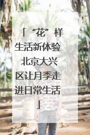 “花”样生活新体验 北京大兴区让月季走进日常生活