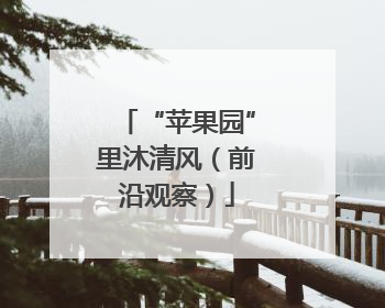 “苹果园”里沐清风（前沿观察）
