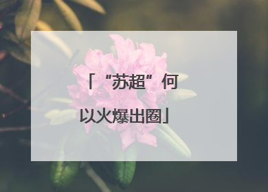 “苏超”何以火爆出圈