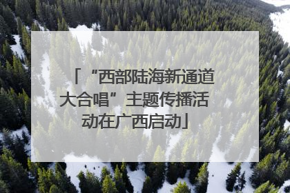 “西部陆海新通道大合唱”主题传播活动在广西启动