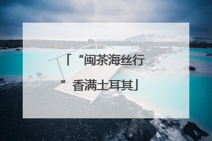 “闽茶海丝行”香满土耳其