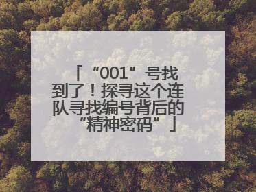 “001”号找到了！探寻这个连队寻找编号背后的“精神密码”