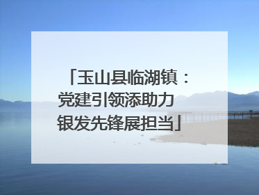 玉山县临湖镇：党建引领添助力 银发先锋展担当