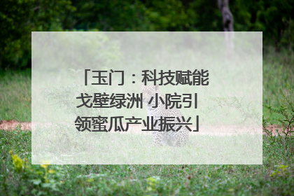 玉门：科技赋能戈壁绿洲 小院引领蜜瓜产业振兴