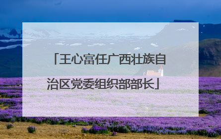 王心富任广西壮族自治区党委组织部部长