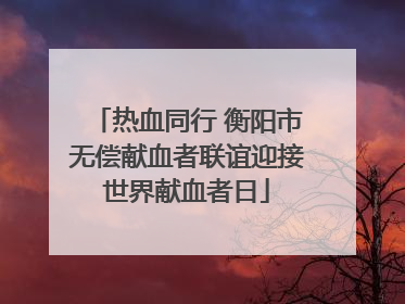 热血同行 衡阳市无偿献血者联谊迎接世界献血者日