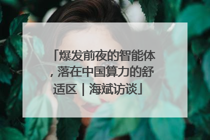 爆发前夜的智能体，落在中国算力的舒适区｜海斌访谈
