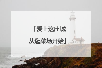 爱上这座城 从逛菜场开始