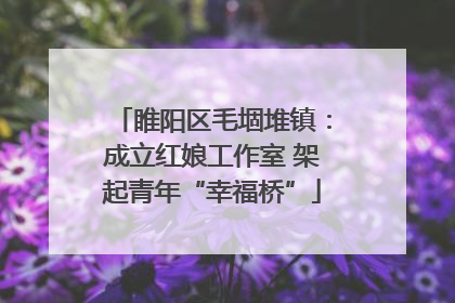 睢阳区毛堌堆镇：成立红娘工作室 架起青年“幸福桥”
