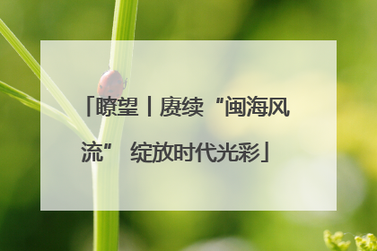 瞭望丨赓续“闽海风流” 绽放时代光彩
