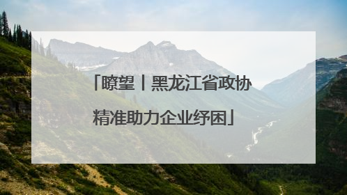 瞭望丨黑龙江省政协精准助力企业纾困