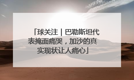 球关注｜巴勒斯坦代表掩面痛哭，加沙的真实现状让人痛心