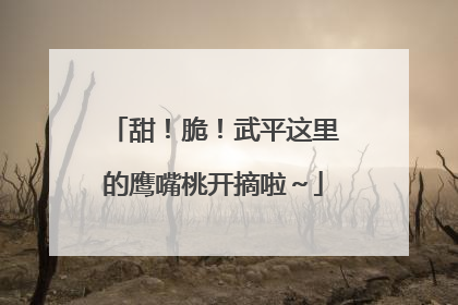 甜！脆！武平这里的鹰嘴桃开摘啦～