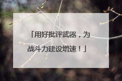 用好批评武器，为战斗力建设增速！