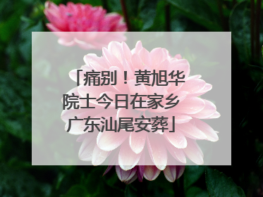 痛别！黄旭华院士今日在家乡广东汕尾安葬