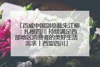 百威中国副总裁朱江柳：扎根四川 持续满足西部地区消费者的美好生活需求丨西望四川