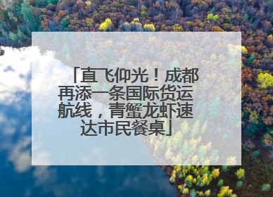 直飞仰光！成都再添一条国际货运航线，青蟹龙虾速达市民餐桌