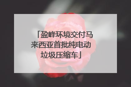 盈峰环境交付马来西亚首批纯电动垃圾压缩车