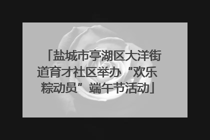 盐城市亭湖区大洋街道育才社区举办“欢乐粽动员”端午节活动