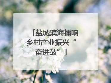 盐城滨海擂响乡村产业振兴“奋进鼓”
