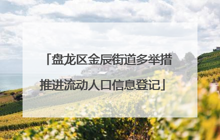 盘龙区金辰街道多举措推进流动人口信息登记
